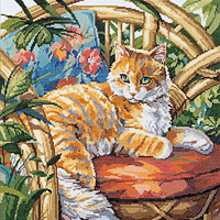 Cat In the Sun Kit