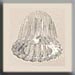 T12058 - Fluted Bell - Crystal