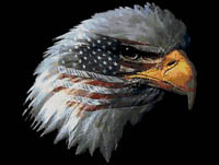 American Pride