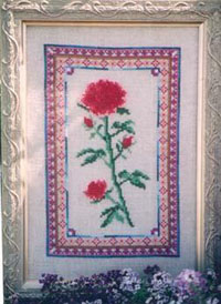A Red Rose In Fair Isle