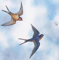 Barn Swallows                       