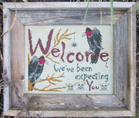 A Vultures Welcome