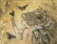 Adrift In A Dream