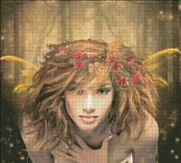Forest Fairy
