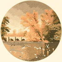 Autumn Reflections
