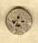 HSEB1 Marbled  Homespun Elegance Button