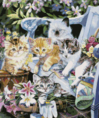 Kitty BenchWarmers