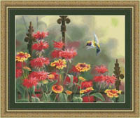 Hummingbird In The Bee Balm