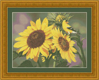 Sunflowers and Finch