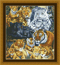 Big Cat Pride