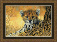 Little Baby Cheetah