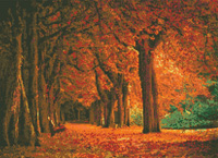 Autumn Grandeur