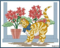 Cat in a Window