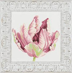 Tulip Kit