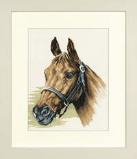 Horse's Head Kit