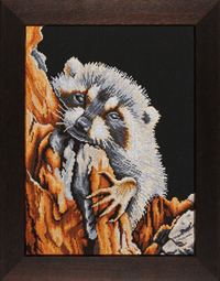 Racoon Kit
