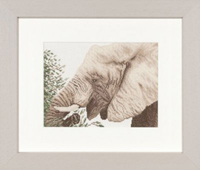 Grazing Elephant Kit