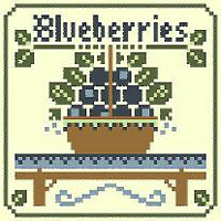 Fruits - Blueberries Kit