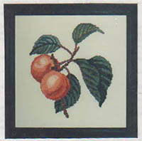 Apricots