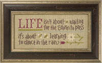 Dance In The Rain Inspirational Boxer