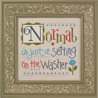 Normal is Just a Setting on the Washer Kit