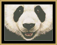 Many Faces - Panda Bear