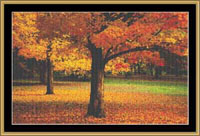 Autumn Peace