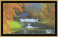 Barnyard Stream
