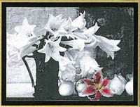 Lilies Black and White