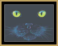 Many Faces - Black Cat