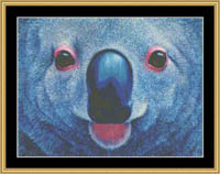 Many Faces - Koala Bear