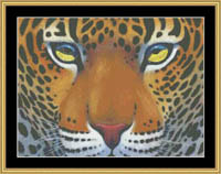Many Faces - Leopard