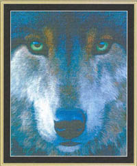 Many Faces - Wolf