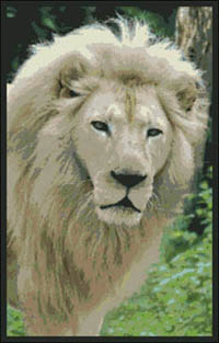 Born Free