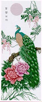 Dignity the Peacock