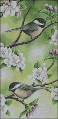 Among The Blossoms