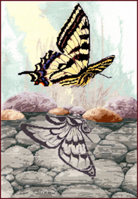 Butterfly Reflection