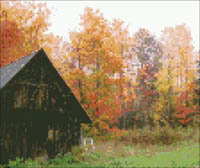 Autumn Fades