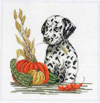 Autumn Dog