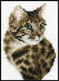Bengal Cat