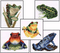 Frogs, Frogs, & More