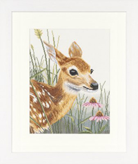 Fawn & Flowers Kit