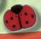 1104 Red Ladybug - Just Another Button Co