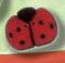 1104 Red Ladybug - Just Another Button Co
