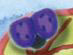 1154 Med. Purple Ladybug - Just Another Button Co