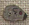 1198 Dirty Rat - Just Another Button Co