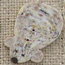 1200 House Mouse - Just Another Button Co