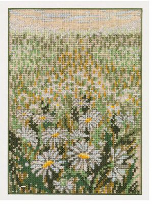 Field of Daisies Kit
