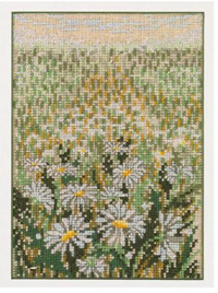 Field of Daisies Kit