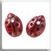 T12159 - Ladybug - Red (2)